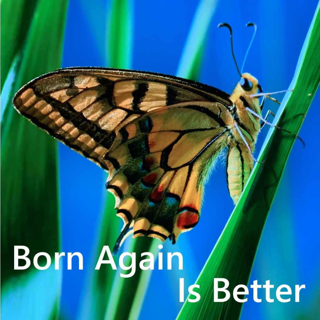 Graphic for above title