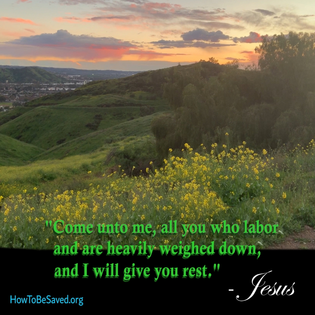 Graphic for above title