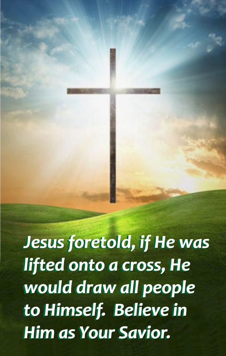 Graphic for above title