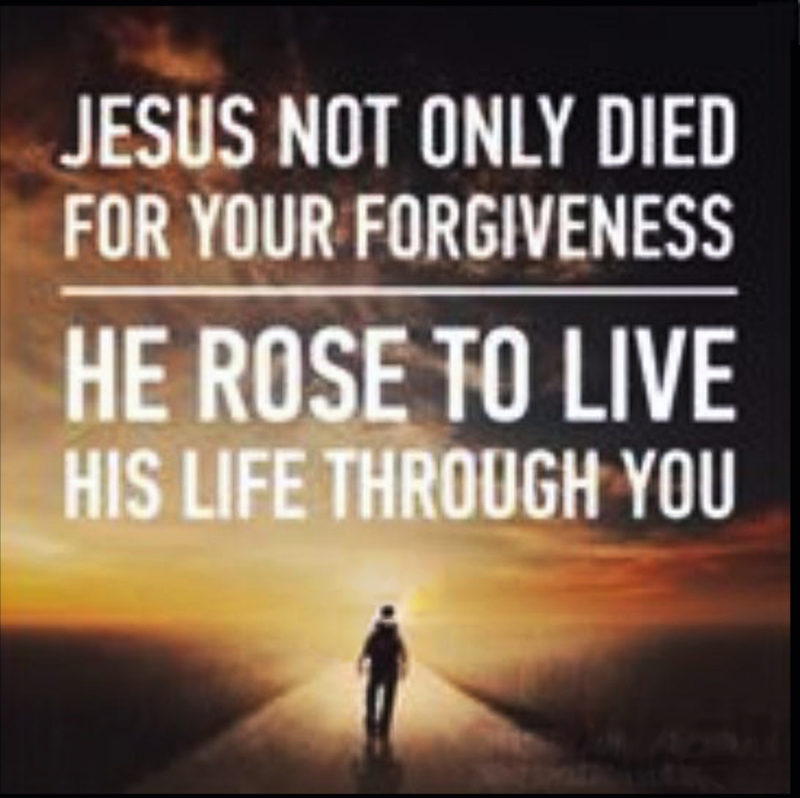 Graphic for above title