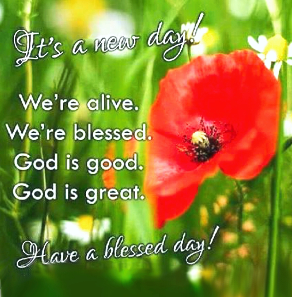 Graphic for above title