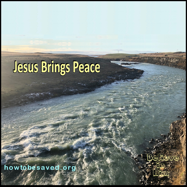 Graphic for above title