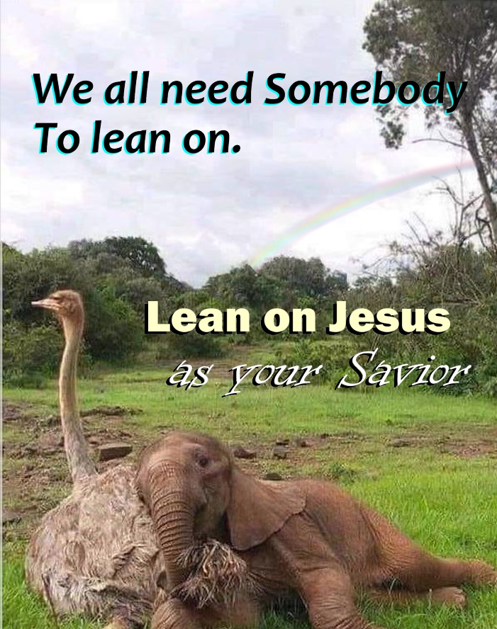 Graphic for above title