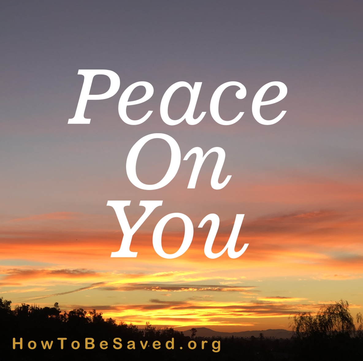 Graphic for above title