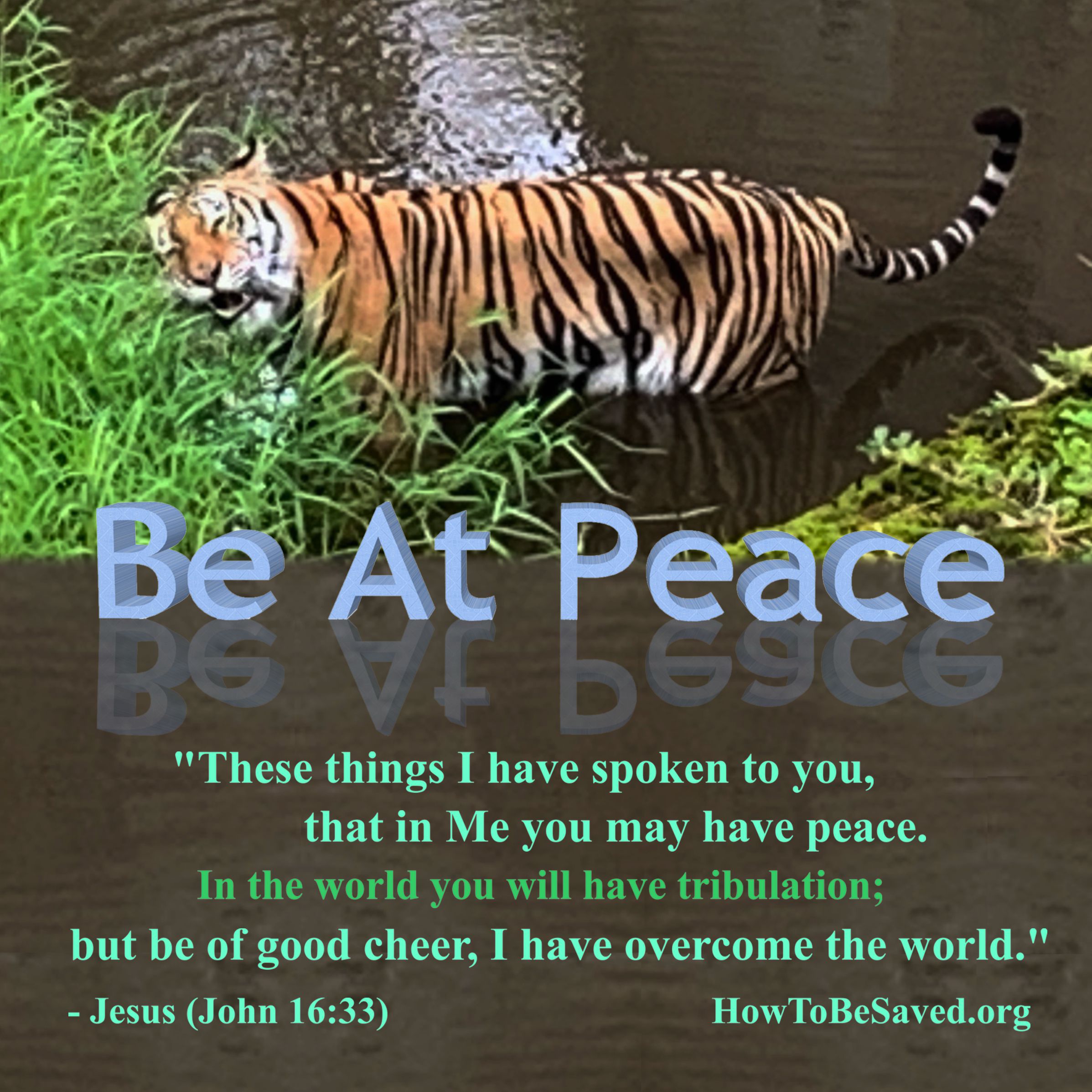 Graphic for above title